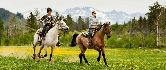 Confident plus-size woman riding Teddington a horse through a field with a smile on her face.